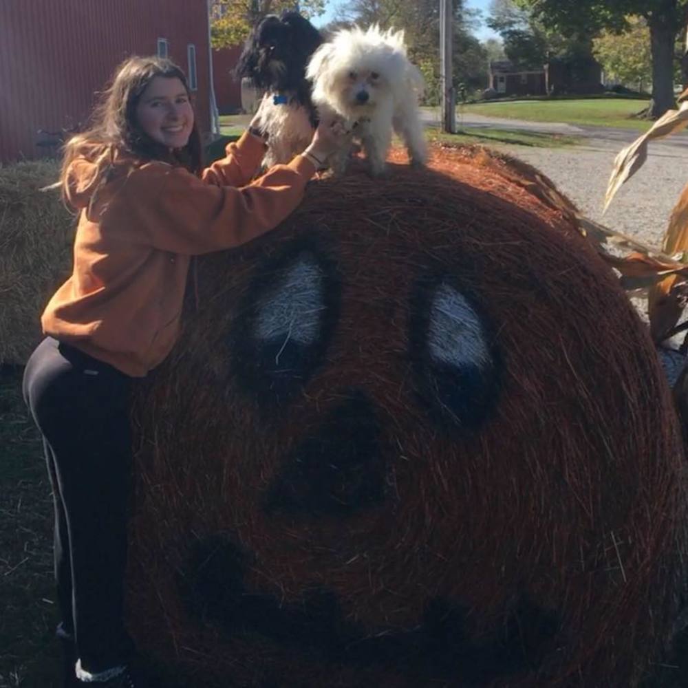 Meet your Posher, Morgan